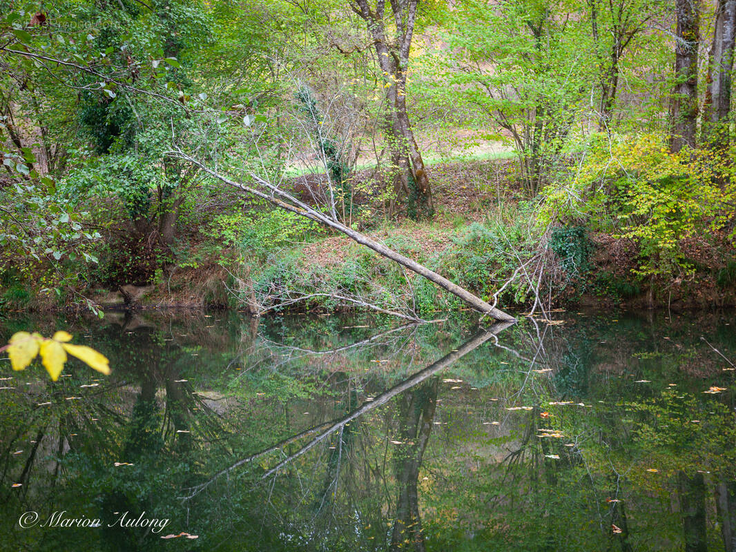 Terrain à BARBASTE