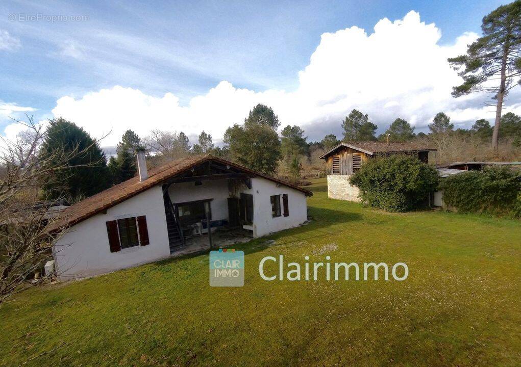 Propriété 6 ha, Maison landaise deux chambres, séchoir - Maison à BAZAS