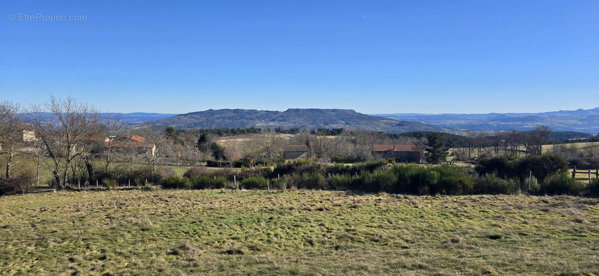 Terrain à SOLIGNAC-SOUS-ROCHE