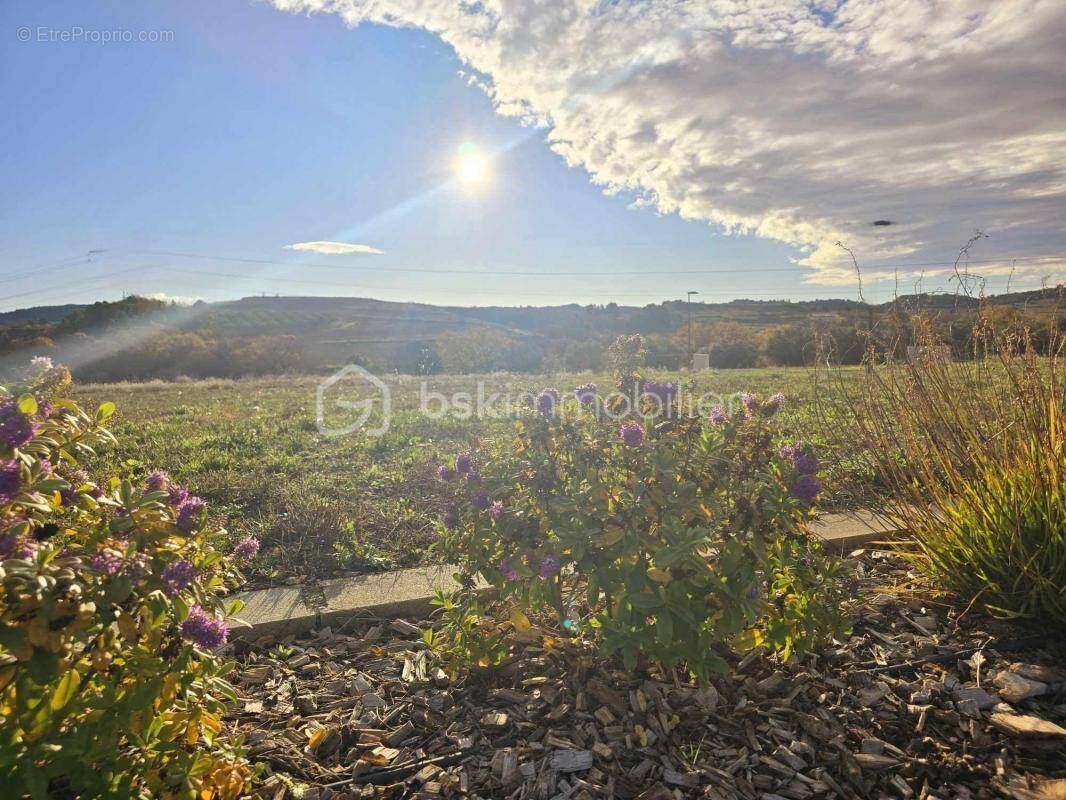 Terrain à CANET