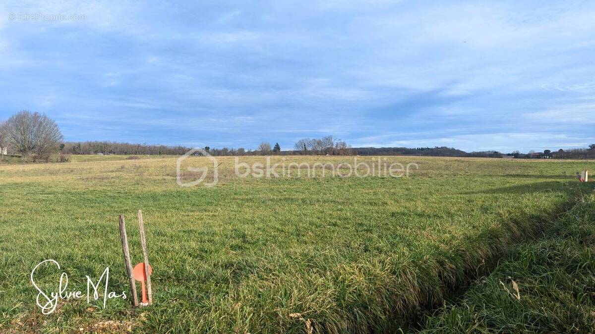 Terrain à SAINT-GEORGES