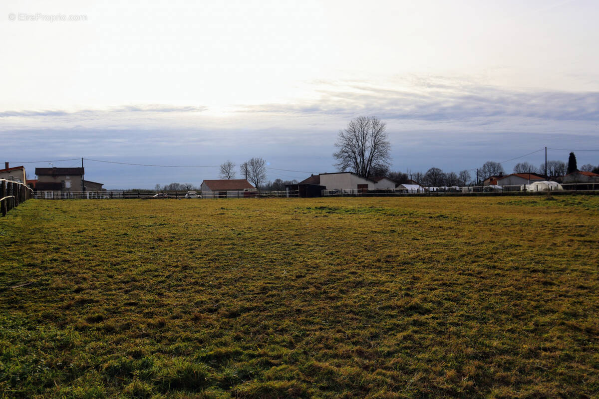 Terrain à ROUMAZIERES-LOUBERT