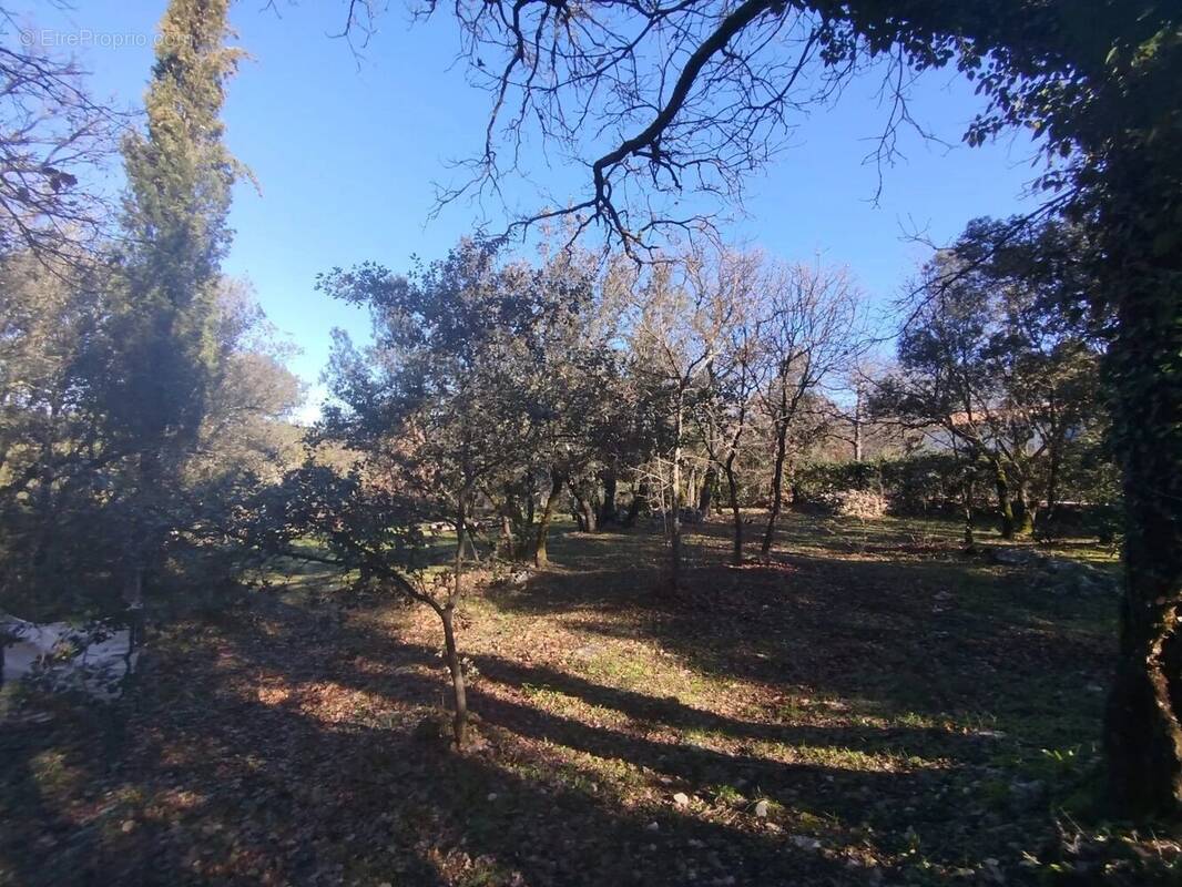 Terrain à SAINT-MAXIMIN-LA-SAINTE-BAUME