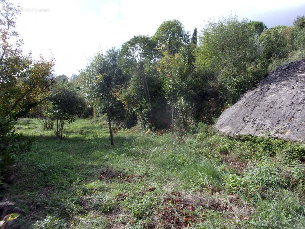 Terrain à LODEVE