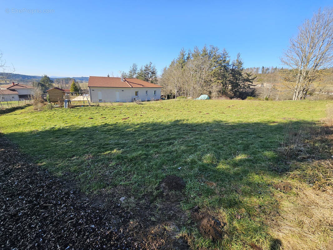 Terrain à SAINT-PAL-DE-MONS