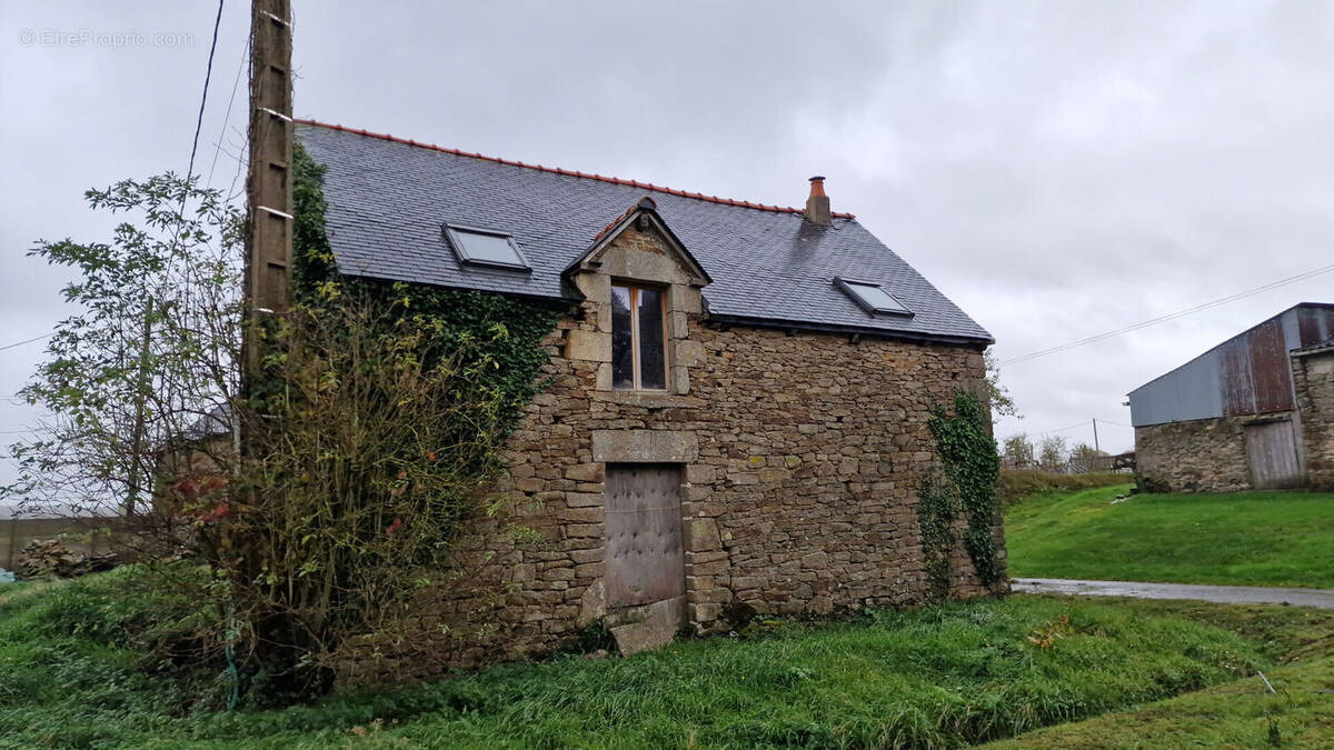 Maison à COLLINEE