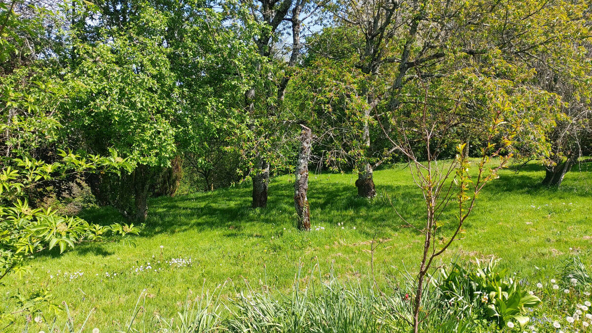 Terrain à BOISSEUIL