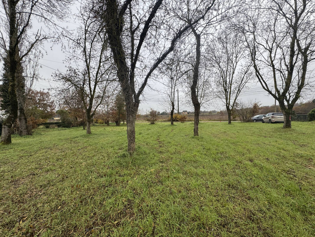 Terrain à MONTAUBAN