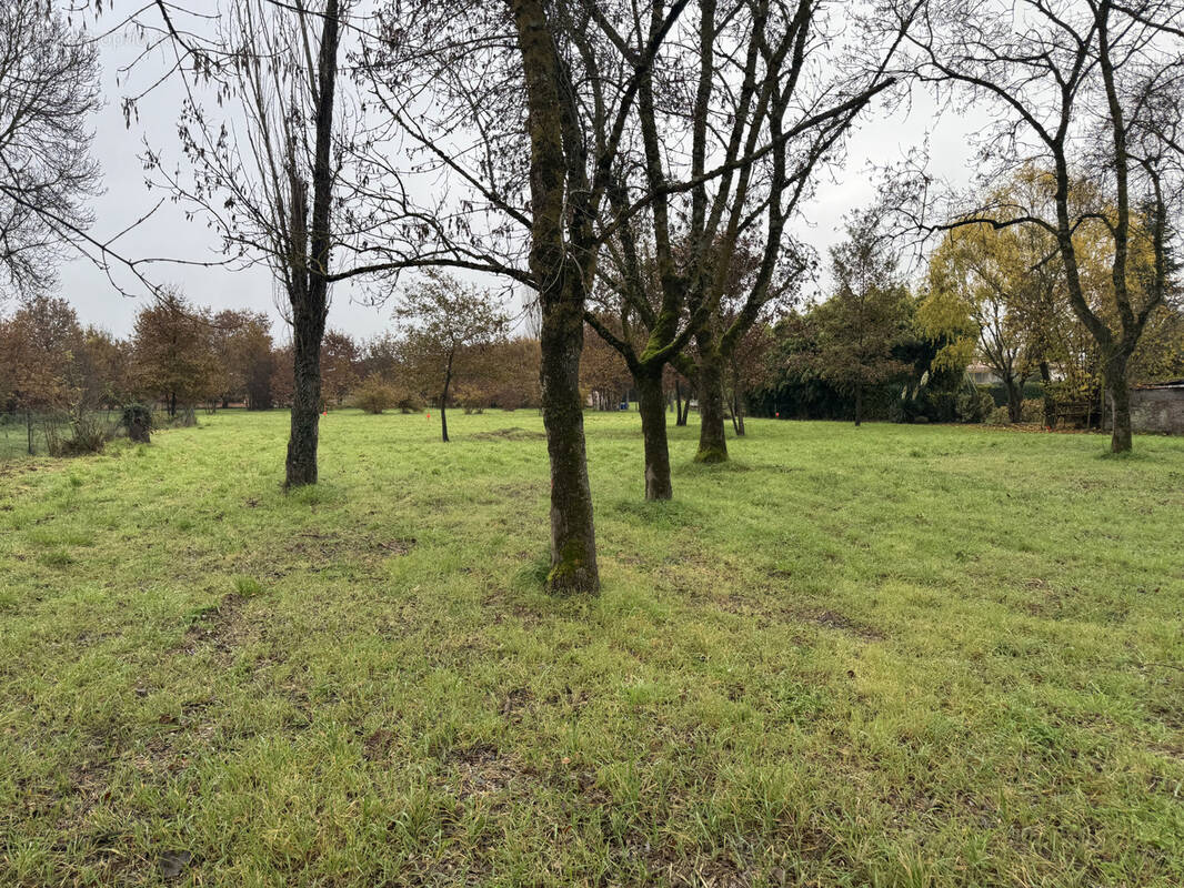 Terrain à MONTAUBAN