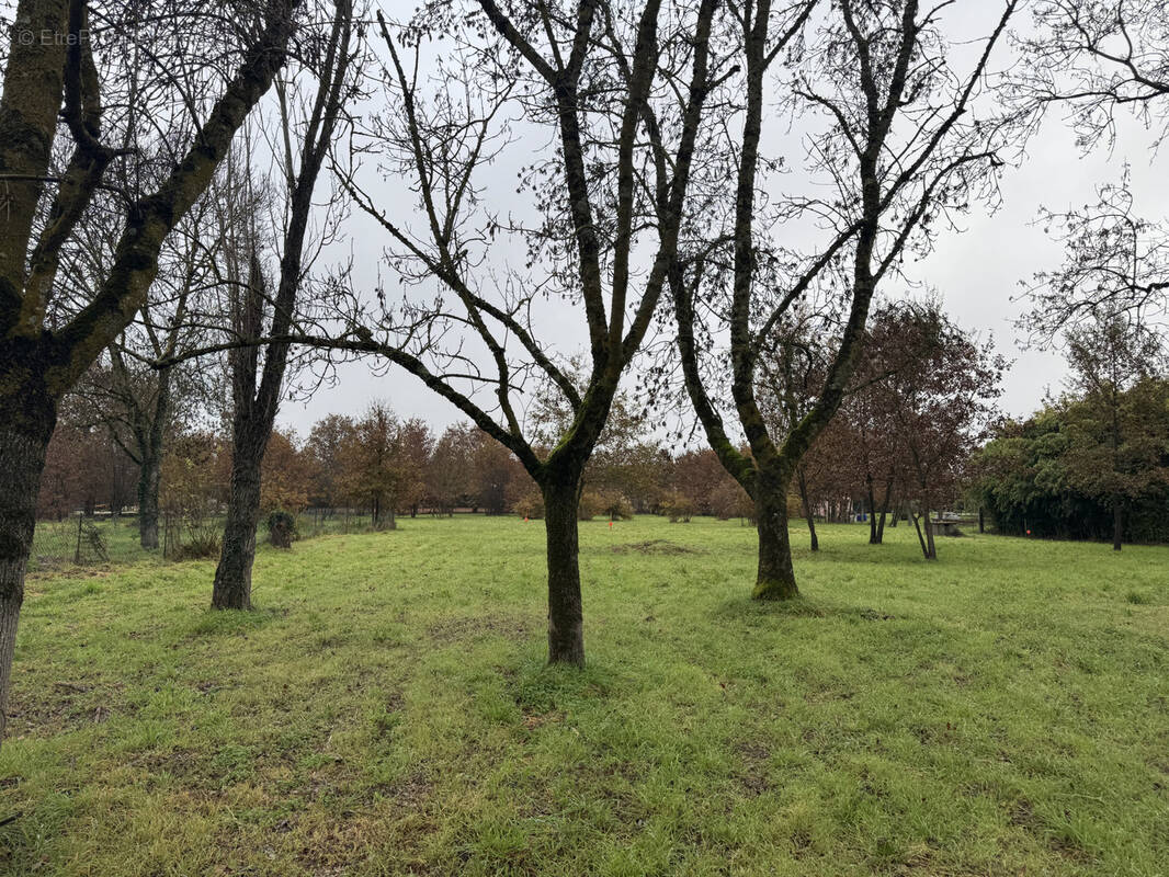 Terrain à MONTAUBAN