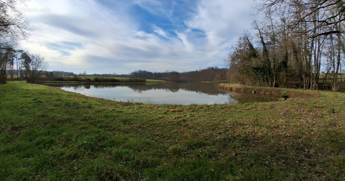 Terrain à PIERRE-DE-BRESSE