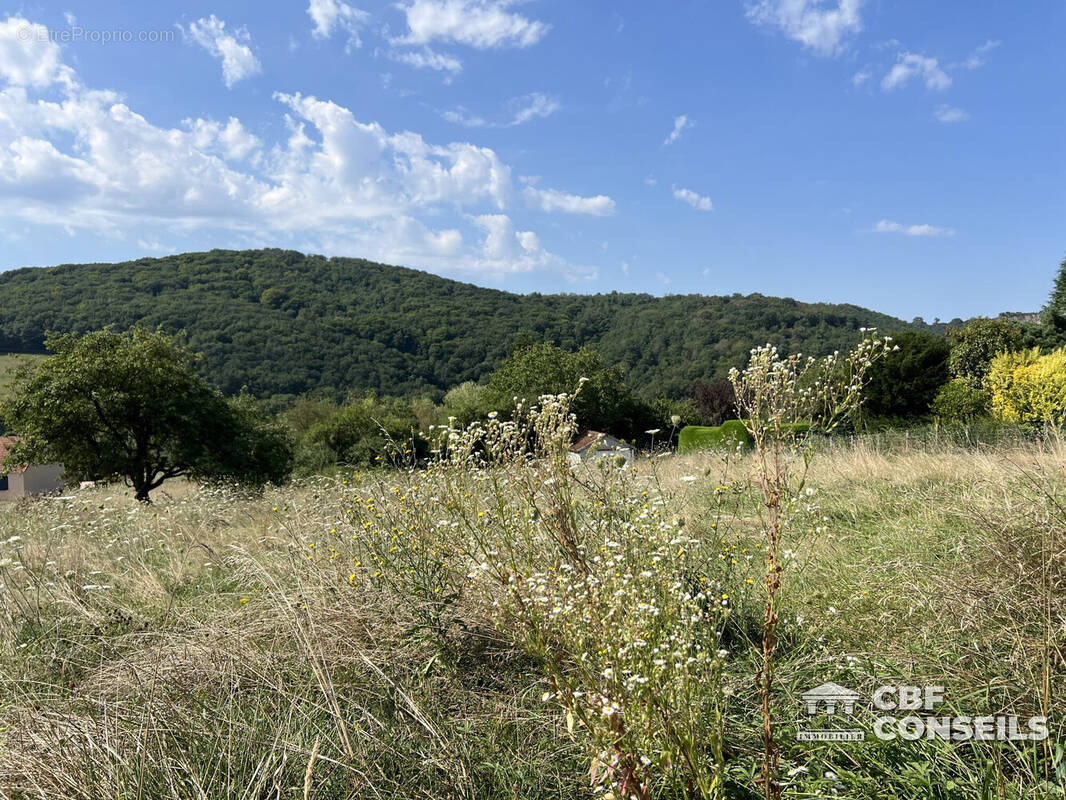 Terrain à SAINT-SERNIN-DU-BOIS