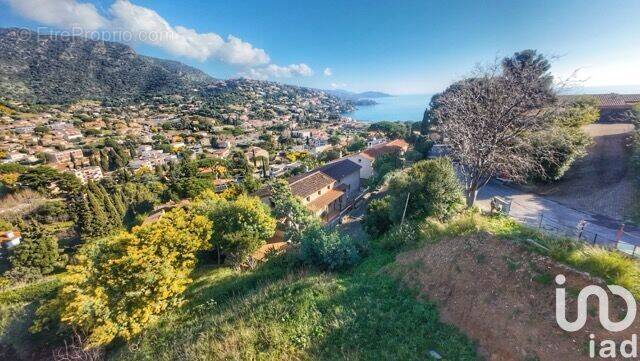 Photo 1 - Terrain à LE LAVANDOU