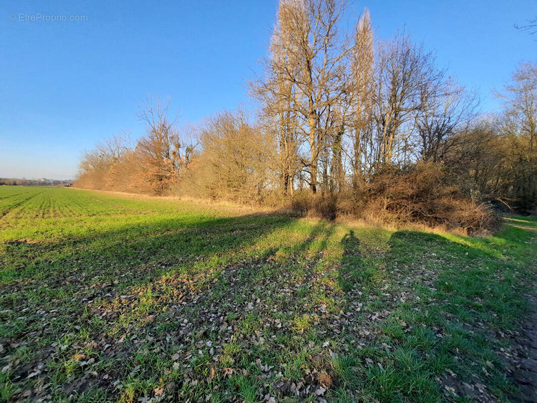 Terrain à BERTHENAY