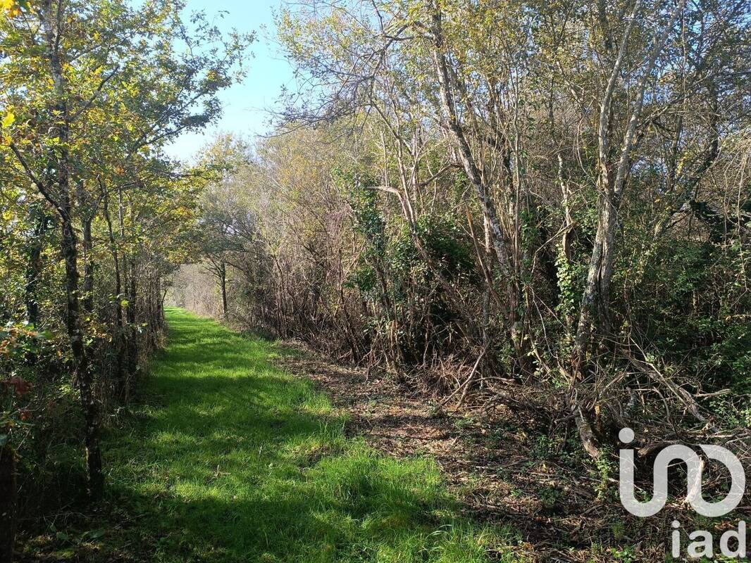 Photo 1 - Terrain à PRUNIERS-EN-SOLOGNE