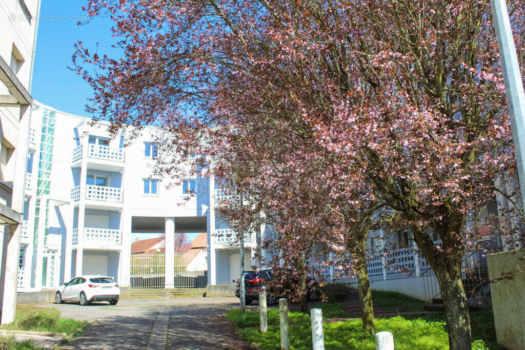 Appartement à TERVILLE