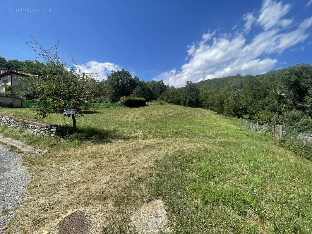 Terrain à PRATS-DE-MOLLO-LA-PRESTE