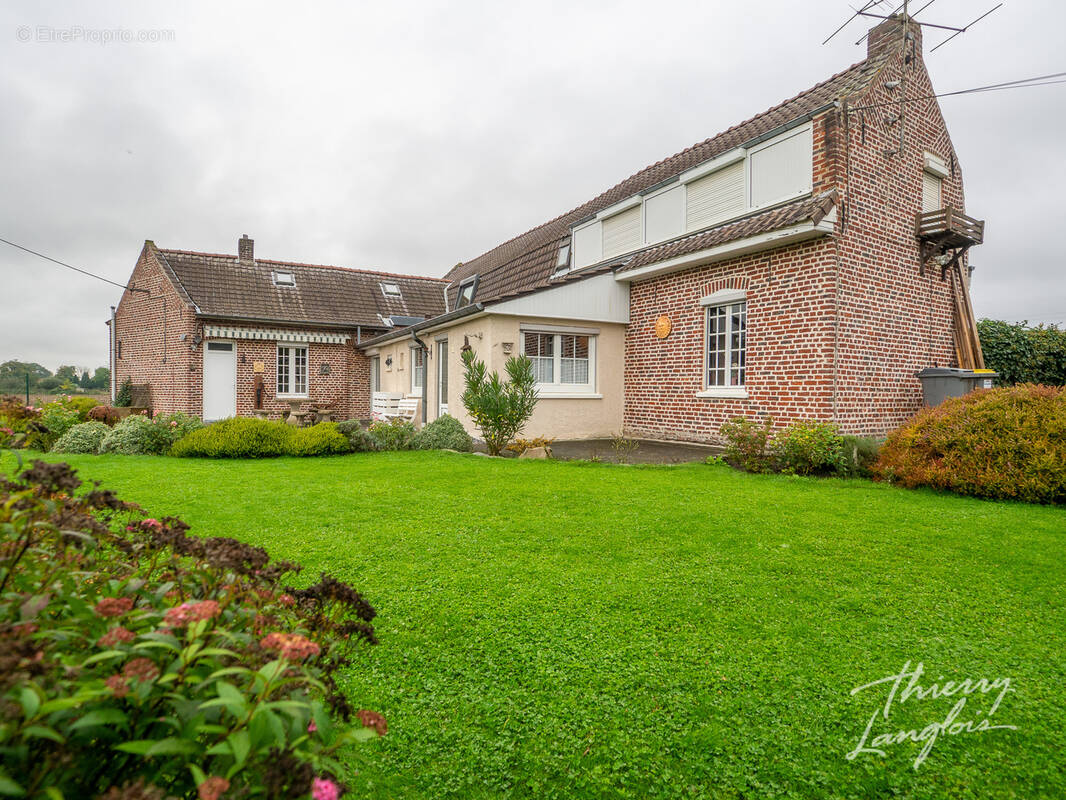 Maison à TEMPLEUVE