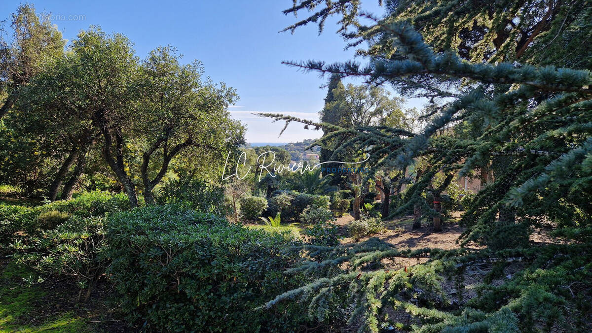 Terrain à ROQUEBRUNE-SUR-ARGENS