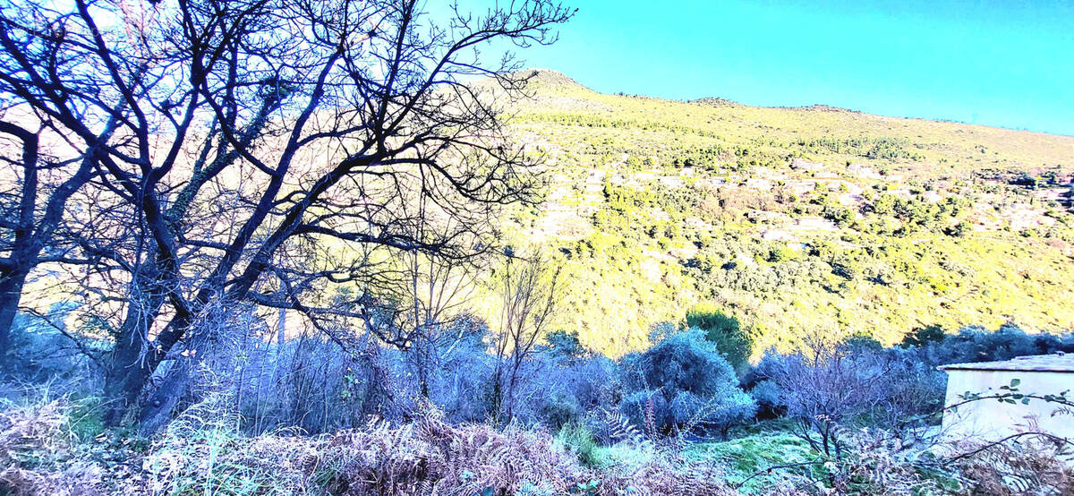 Terrain à COLOMARS