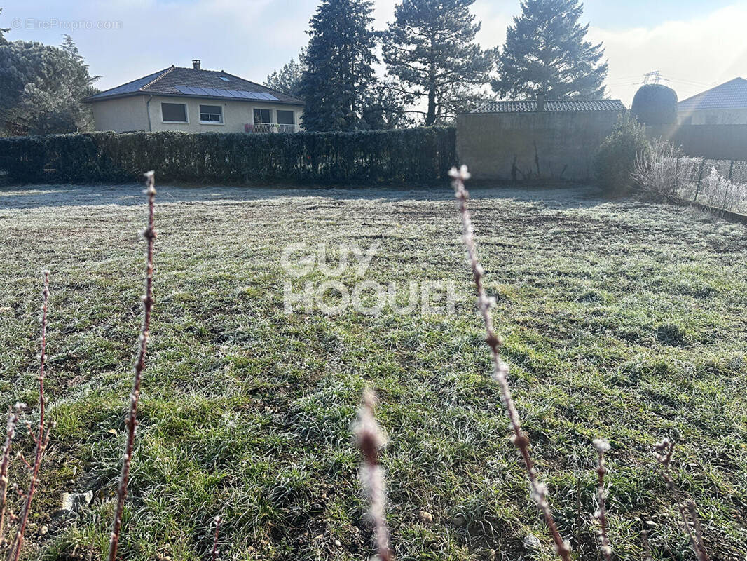 Terrain à VOURLES