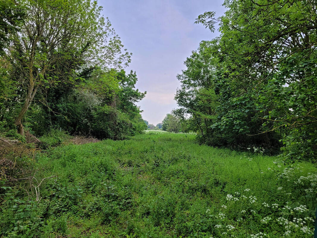 Terrain à BARLIN