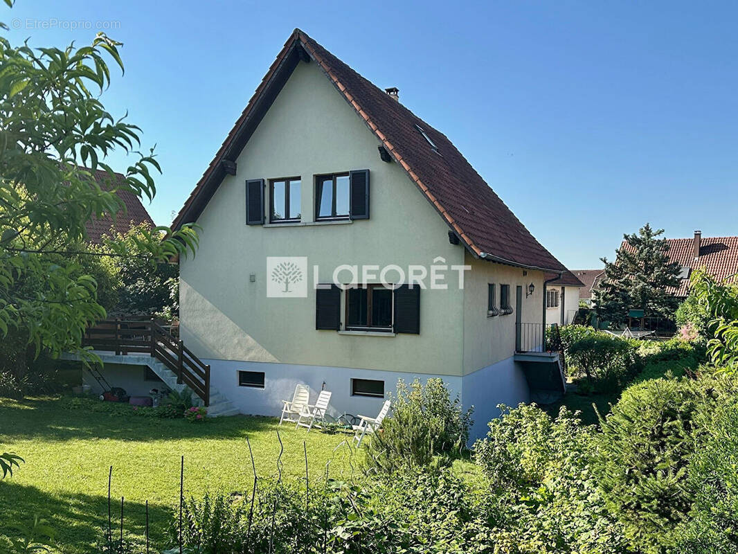 Maison à OBERNAI