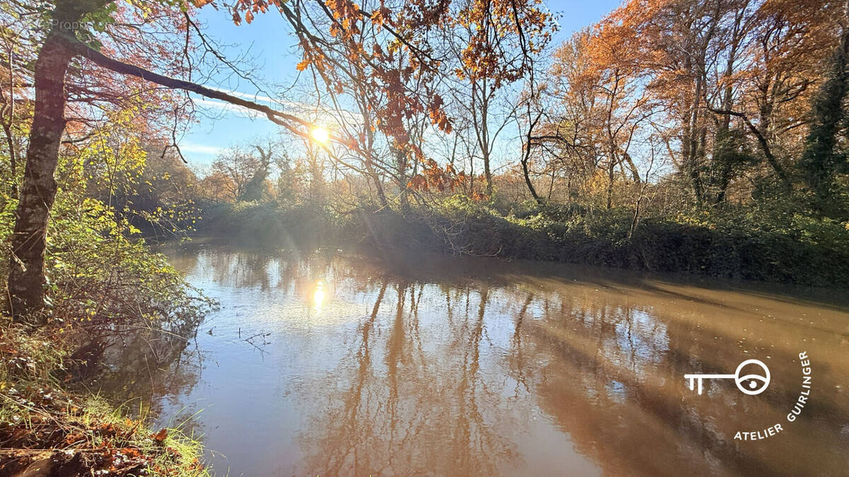 Terrain à MONTRIEUX-EN-SOLOGNE