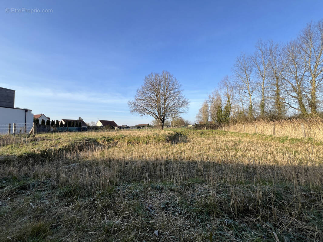 Terrain à RANG-DU-FLIERS