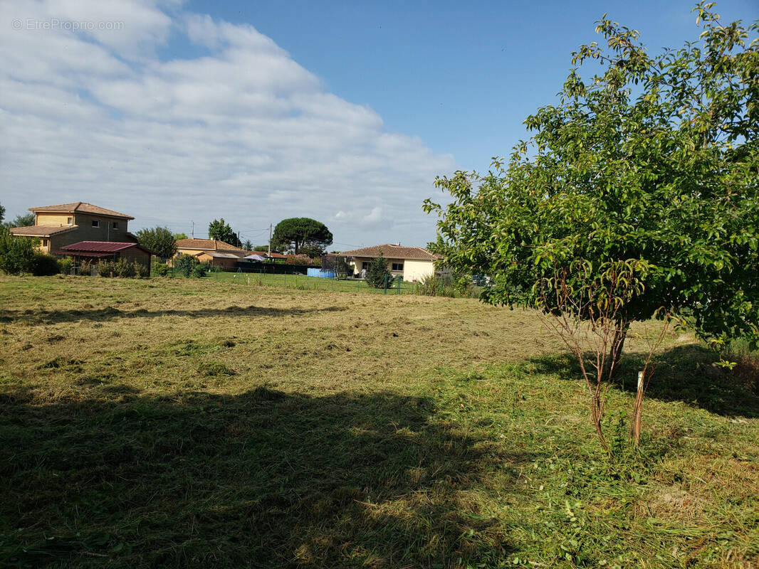 Terrain à PLAISANCE