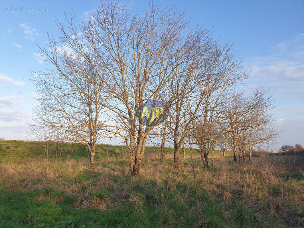 Terrain à JAU-DIGNAC-ET-LOIRAC