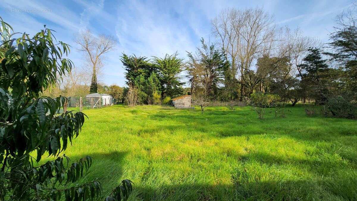 Terrain à SAINT-HILAIRE-DE-RIEZ