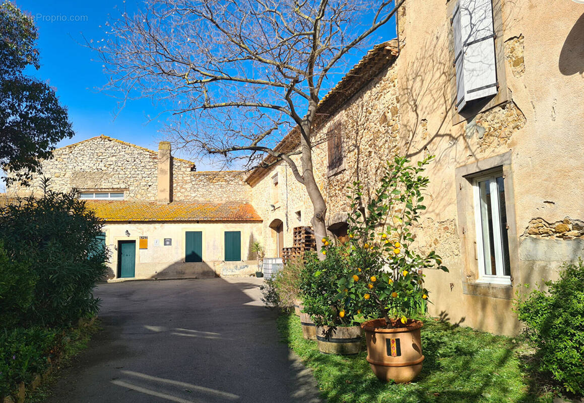 Maison à LUC-SUR-ORBIEU