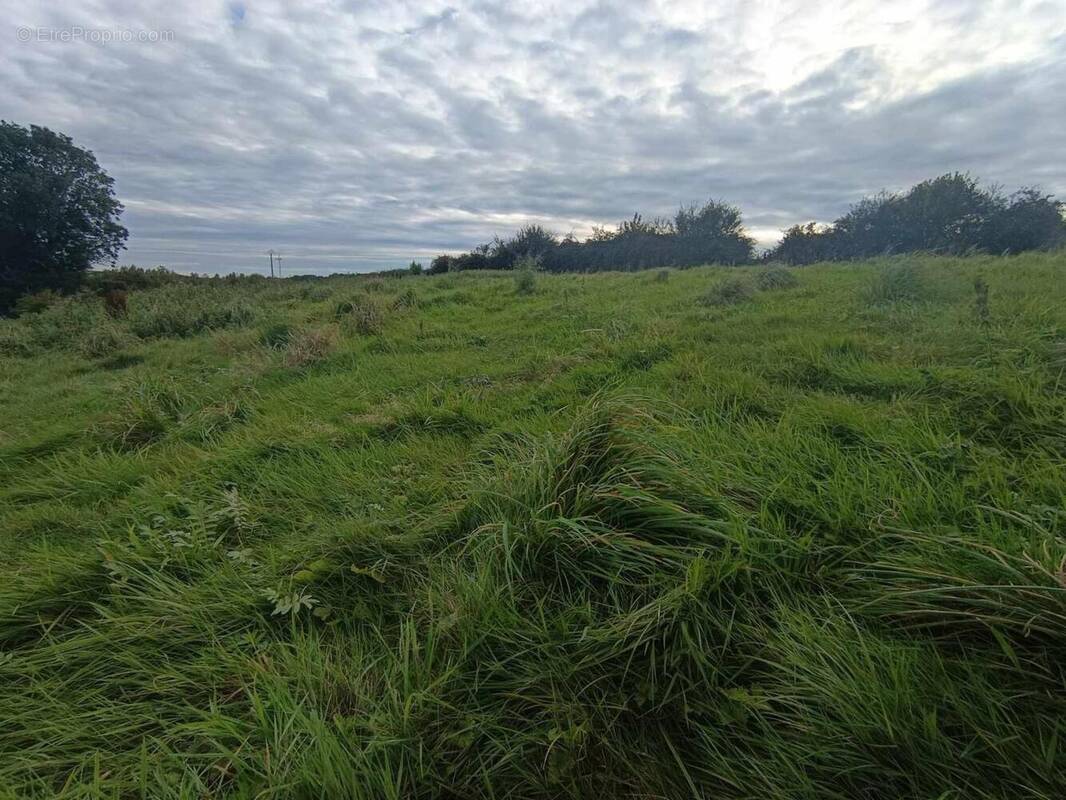 Photo 1 - Terrain à CAMPAGNE-LES-HESDIN