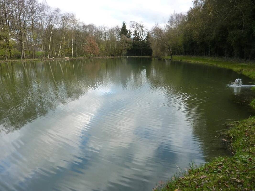 Terrain à MAYENNE