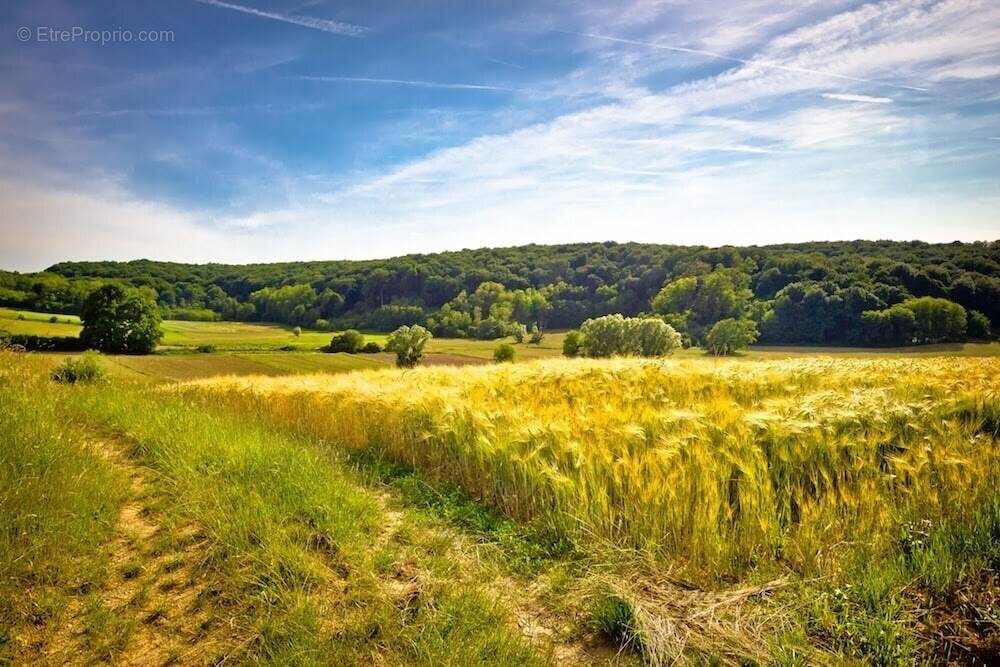 Terrain à VOUILLE