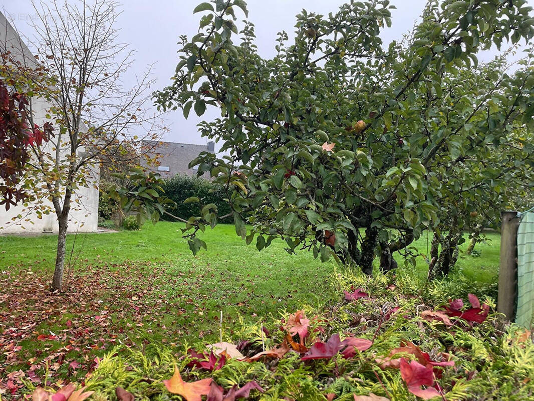 Terrain à SAINT-ANDRE-DES-EAUX