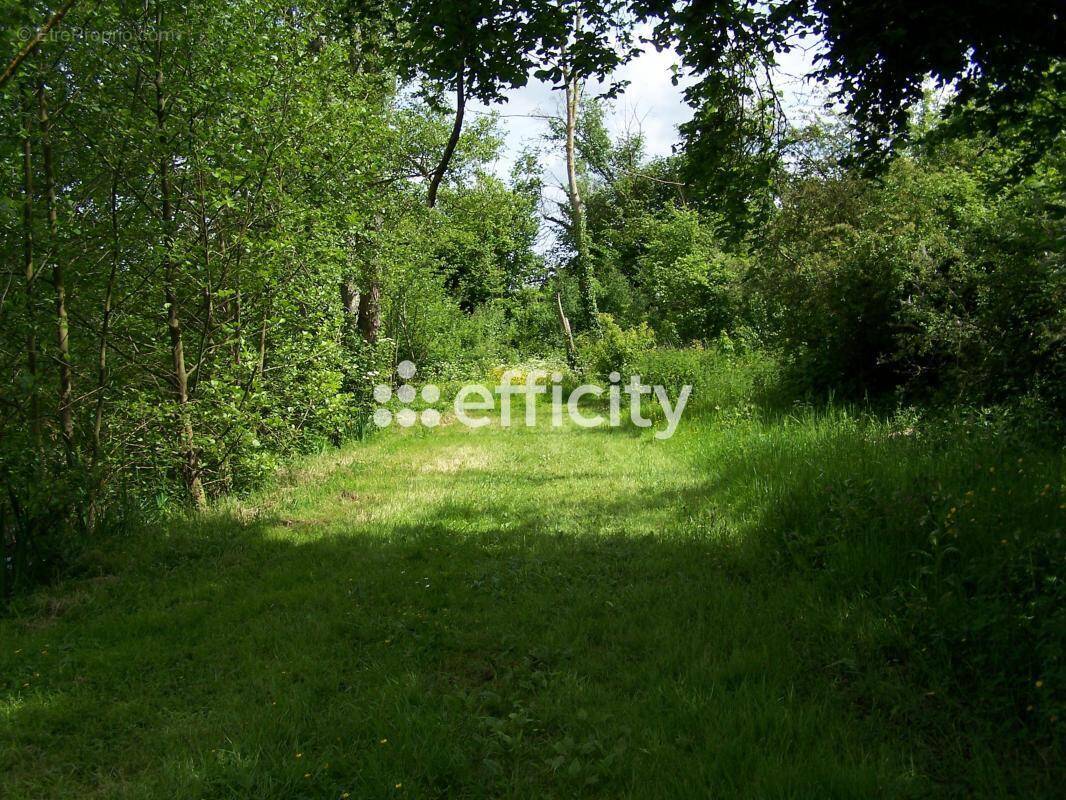 Terrain à MAINTENON