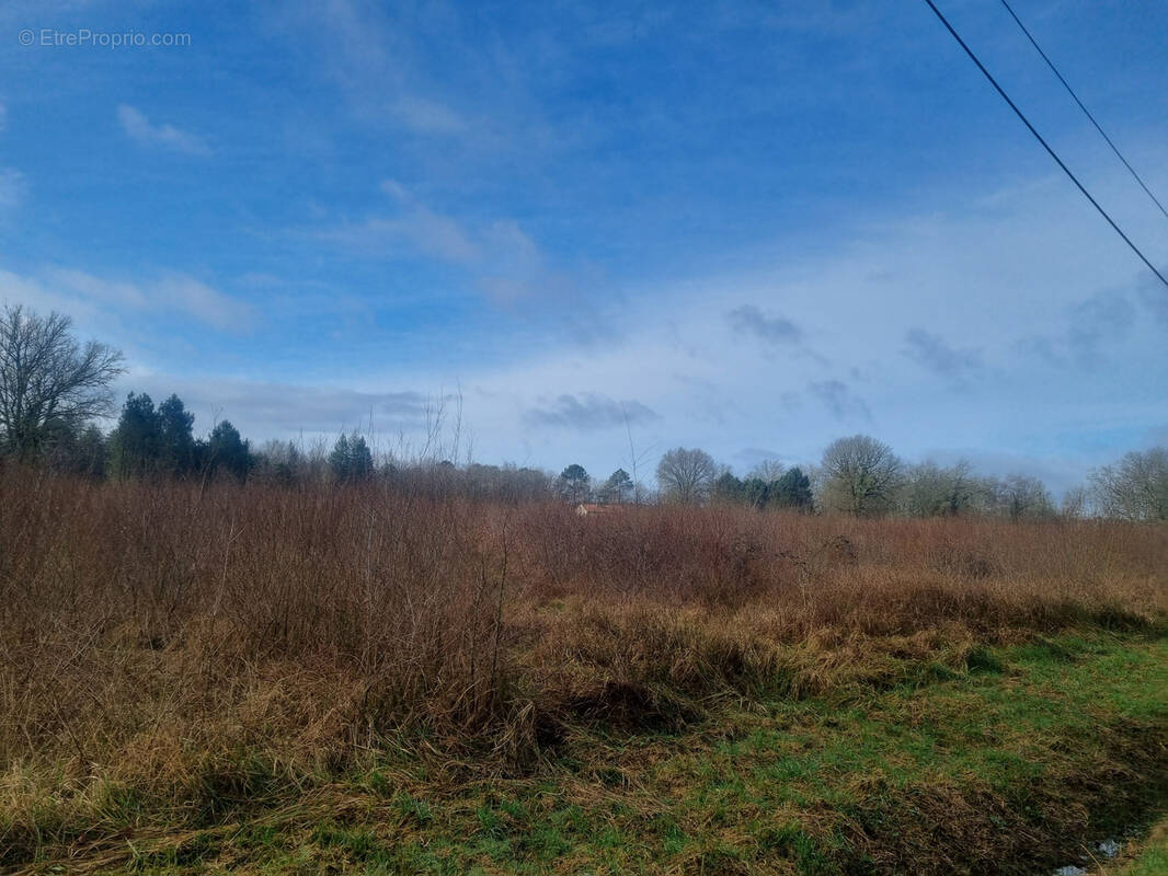 Terrain à BAZAS