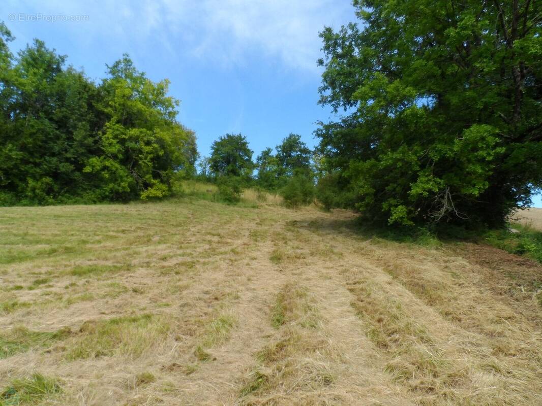 Terrain à RIBERAC