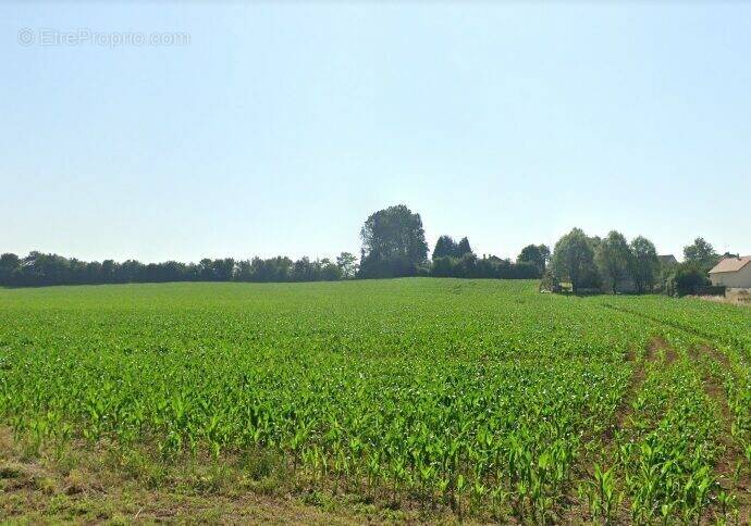 Terrain à MONTS