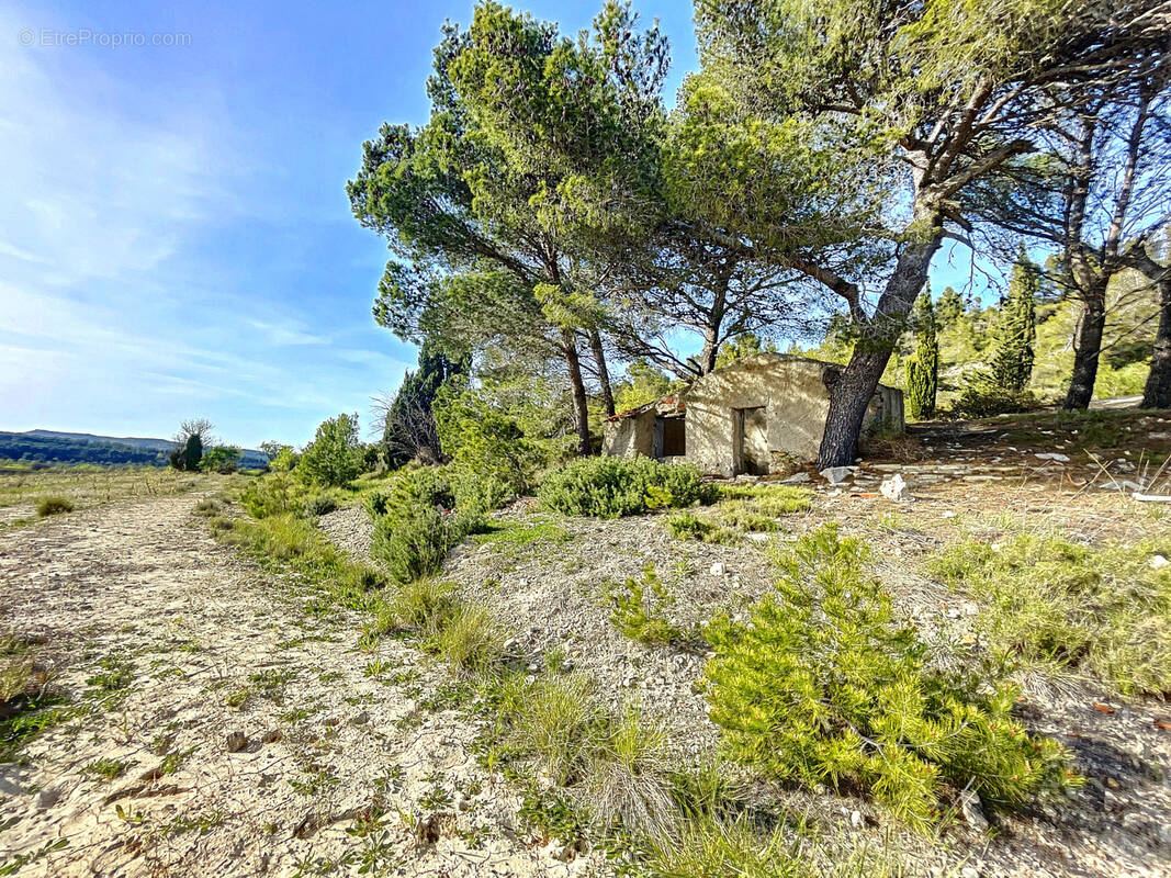 Terrain à SIGEAN