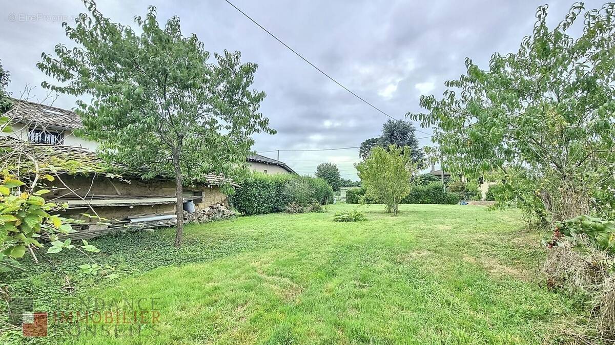 Terrain à SAINT-DIDIER-SUR-CHALARONNE