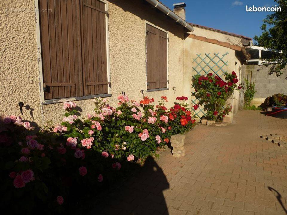 Photo 1 - Maison à COURSAN