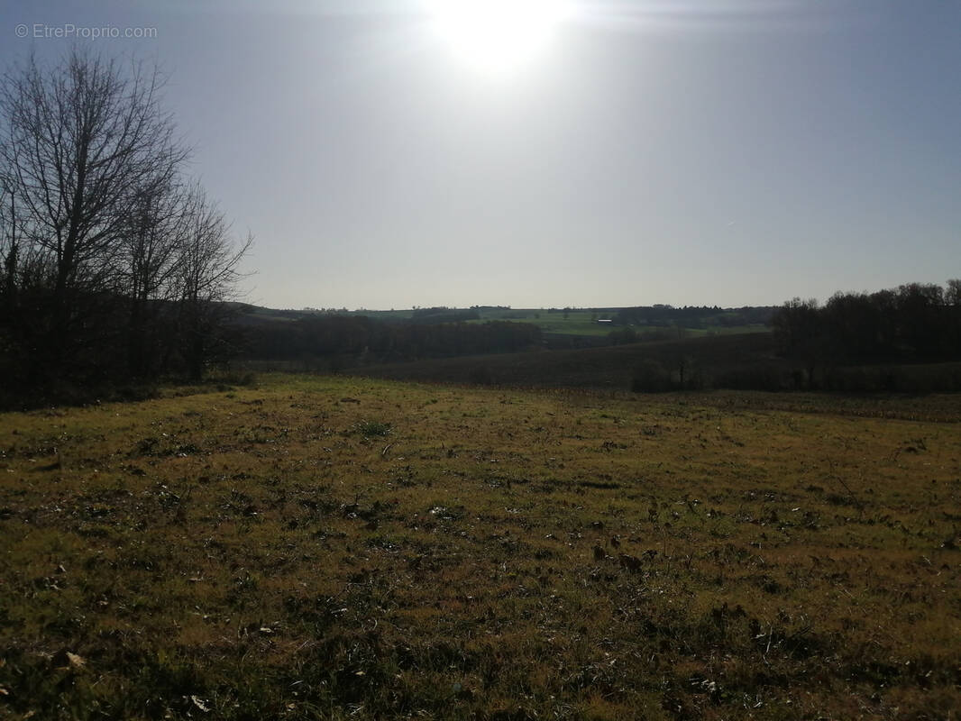 Terrain à CADOURS