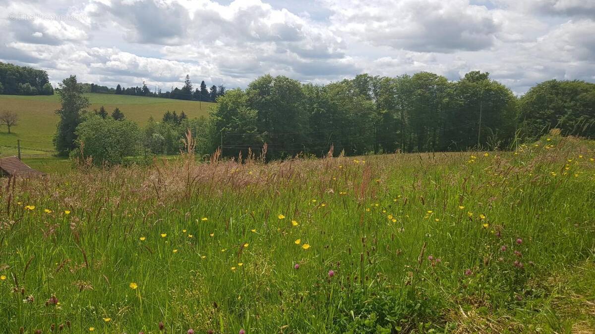 Terrain à LE VAL-D&#039;AJOL