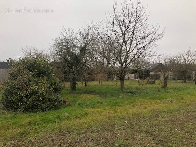 Terrain à PRUNIERS-EN-SOLOGNE