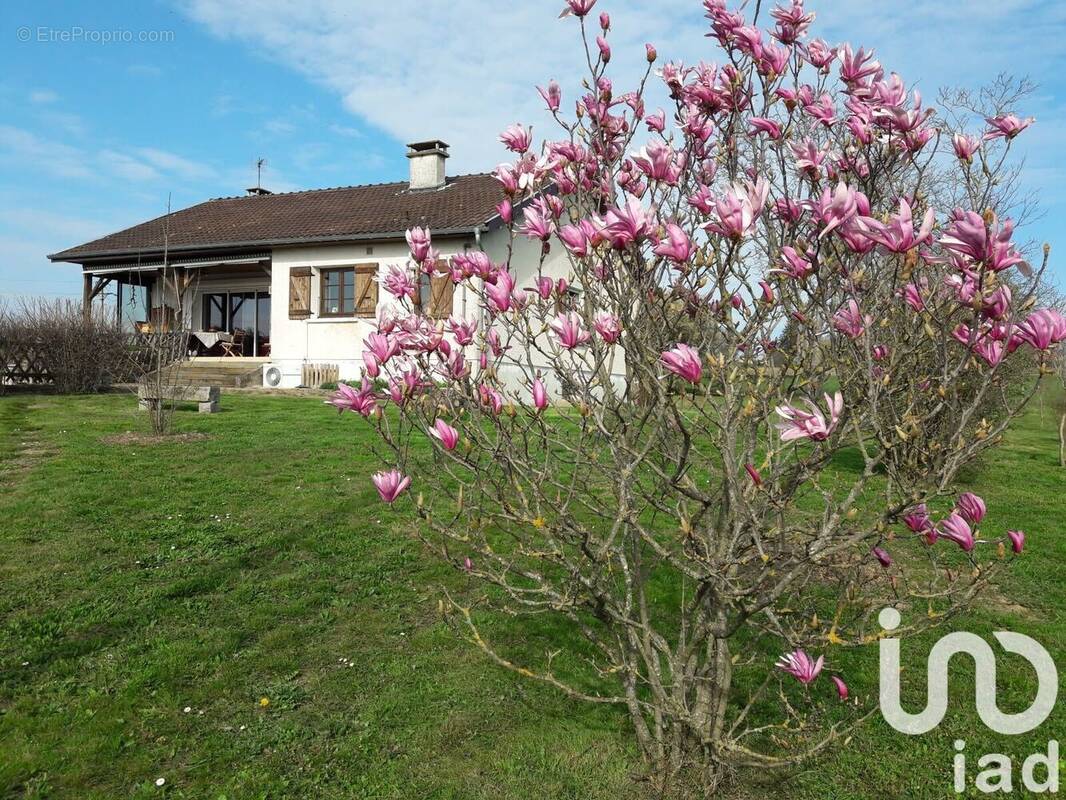 Photo 1 - Maison à SAINT-DIDIER-SUR-CHALARONNE