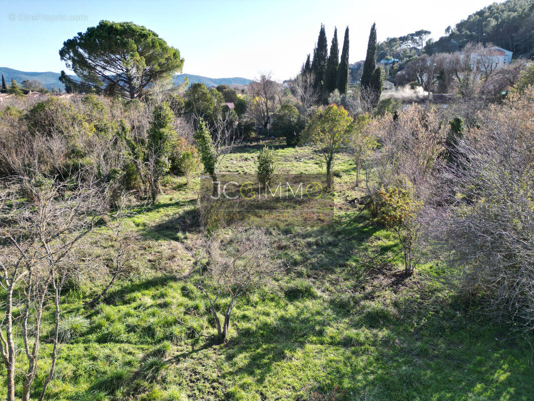 Terrain à CARNOULES