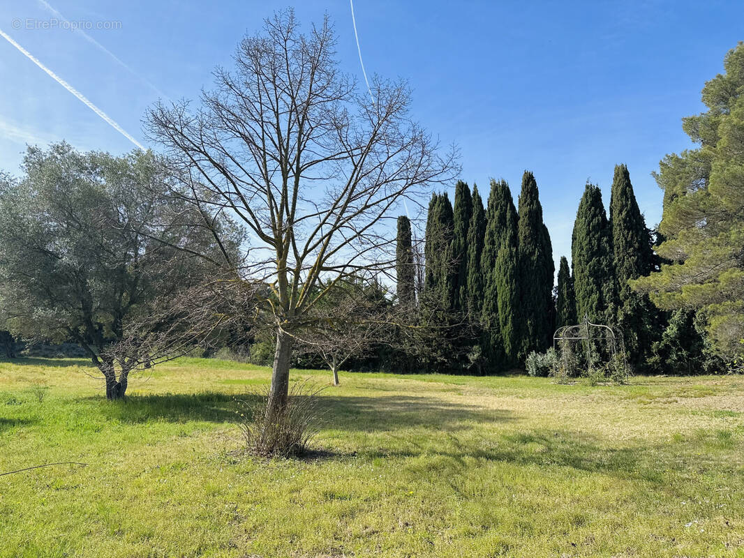 Terrain à SANARY-SUR-MER